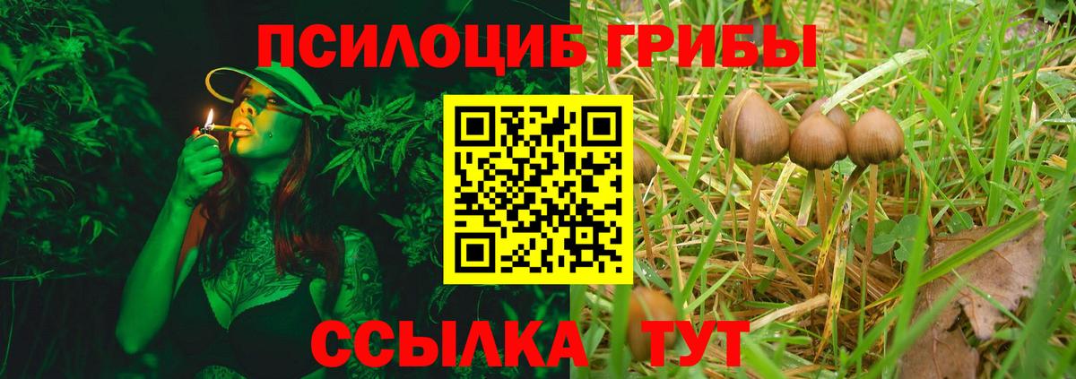 Псилоцибиновые грибы Magic Shrooms  Вход с VPN  Североморск  Псилоцибиновые грибы мухоморы 